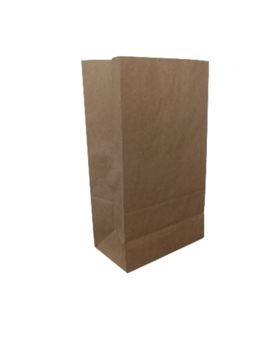 Saco liso kraft P Com 100
